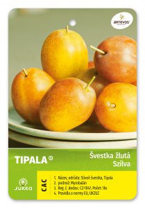 Švestka TIPALA