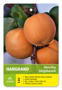 Marhuľa HARGRAND - kontajner