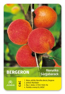 Marhuľa BERGERON
