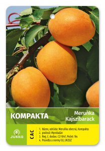 Marhuľa KOMPAKTA - kontajner