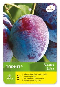 Slivka TOP HIT - kontajner