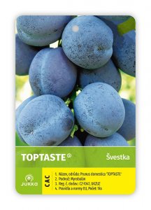 Slivka TOP TASTE - kontajner